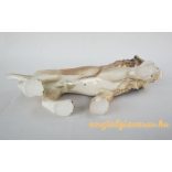 Oroszlán porcelán figura